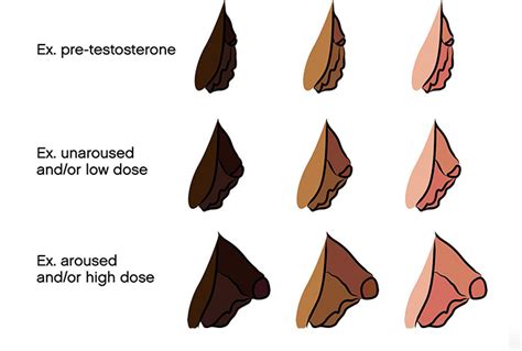 bottom growth ftm|FTM Bottom Growth: A Guide from Female